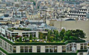 Imagen de un jardín urbano, donde la vegetación y la arquitectura de la ciudad coexisten en armonía